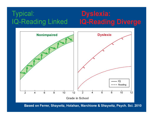 Dyslexia not linked to IQ