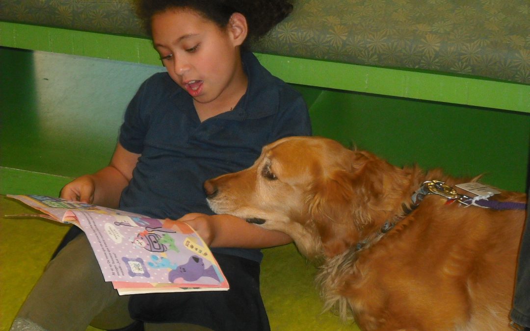 Reading to dogs can help build confidence